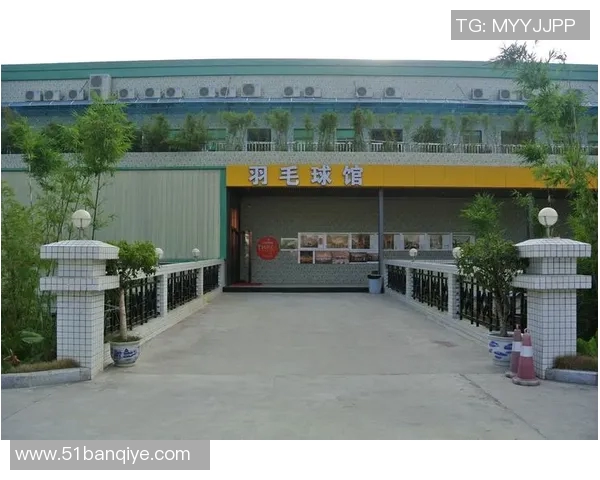 深圳羽毛球队的蜕变之路总决赛特别报道见证辉煌与挑战的交织