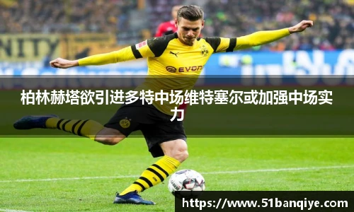 柏林赫塔欲引进多特中场维特塞尔或加强中场实力