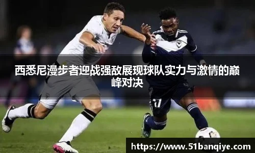 db真人旗舰官网